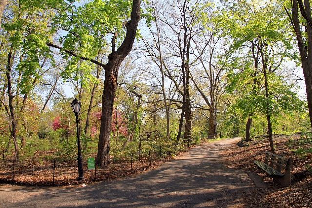 Central Park — view 2.