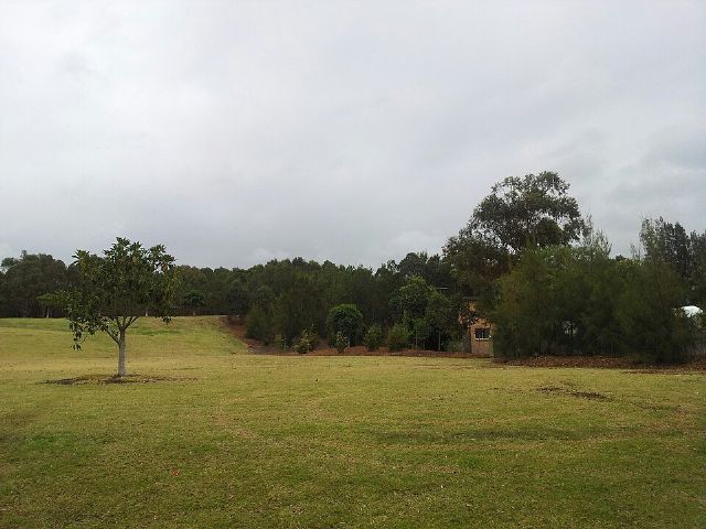 Sydney Park — view 3.