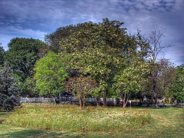 Fenerbahçe Park — view 3.