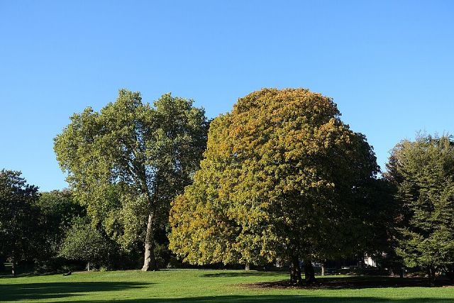 Parc Montsouris — view 2.