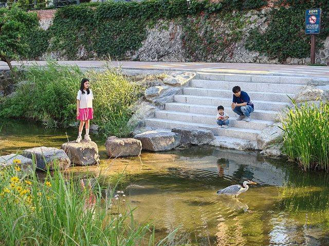 Cheonggyecheon — view 3.
