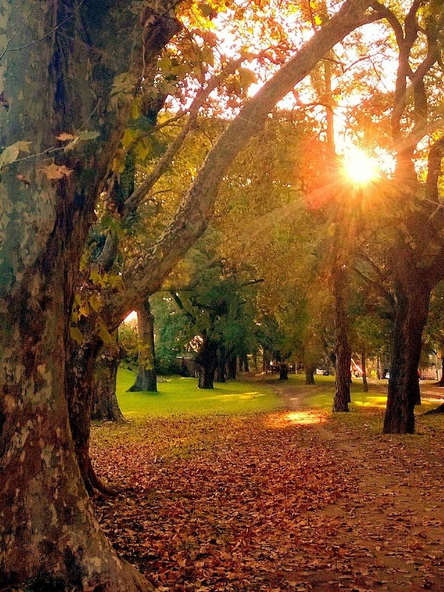 Parque Tres de Febrero — view 3.