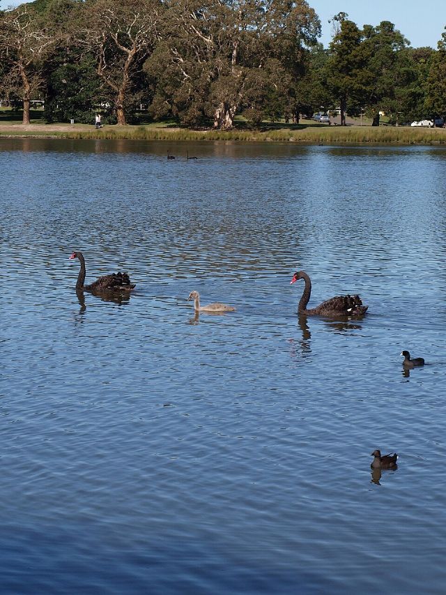 Centennial Park — view 2.