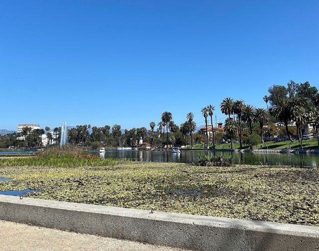 Echo Park Lake — view 3.