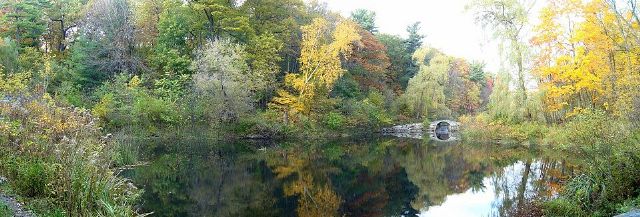 High Park — view 3.