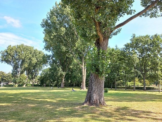 Erasmuspark — view 3.