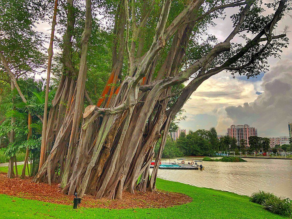 Jurong Lake Gardens — view 1.