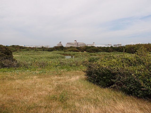 Kasai Rinkai Park — view 2.