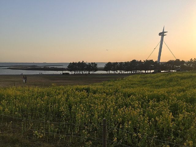 Kasai Rinkai Park — view 3.