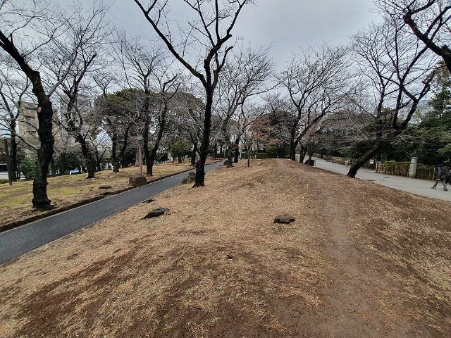 Asukayama Park — view 3.