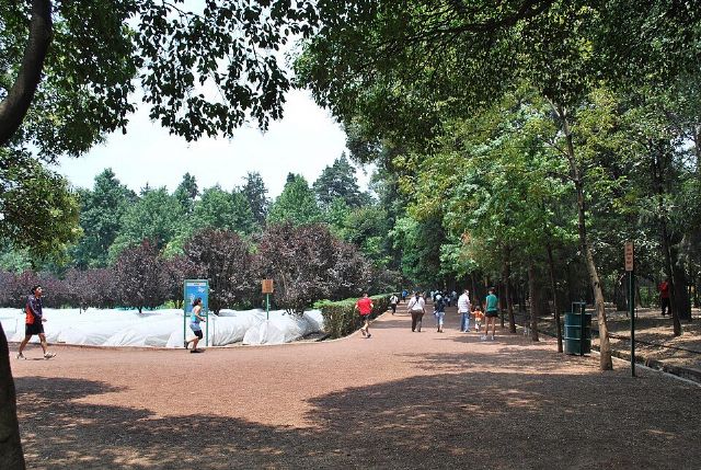 Viveros de Coyoacán — view 3.
