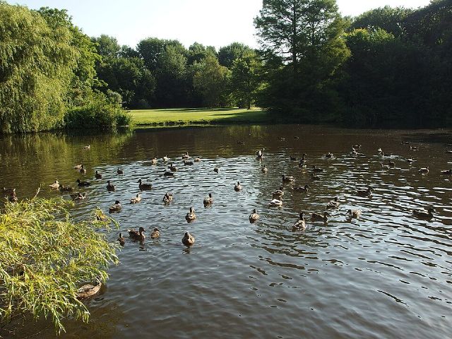 Flevopark — view 3.