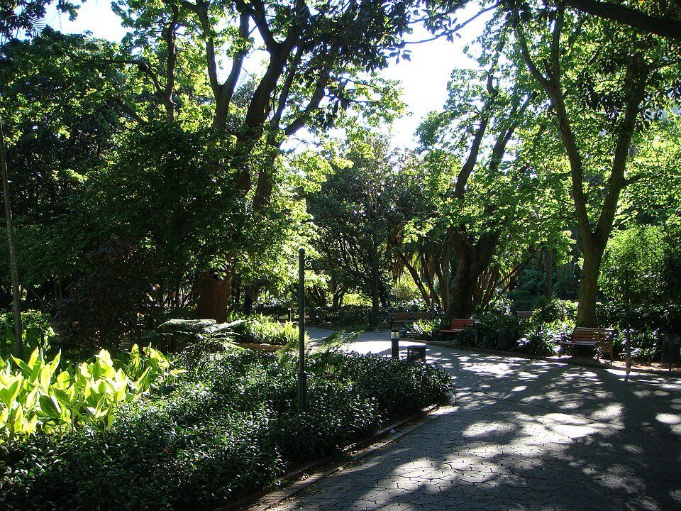 Company's Garden — view 1.