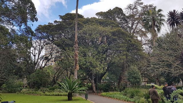 Company's Garden — view 3.