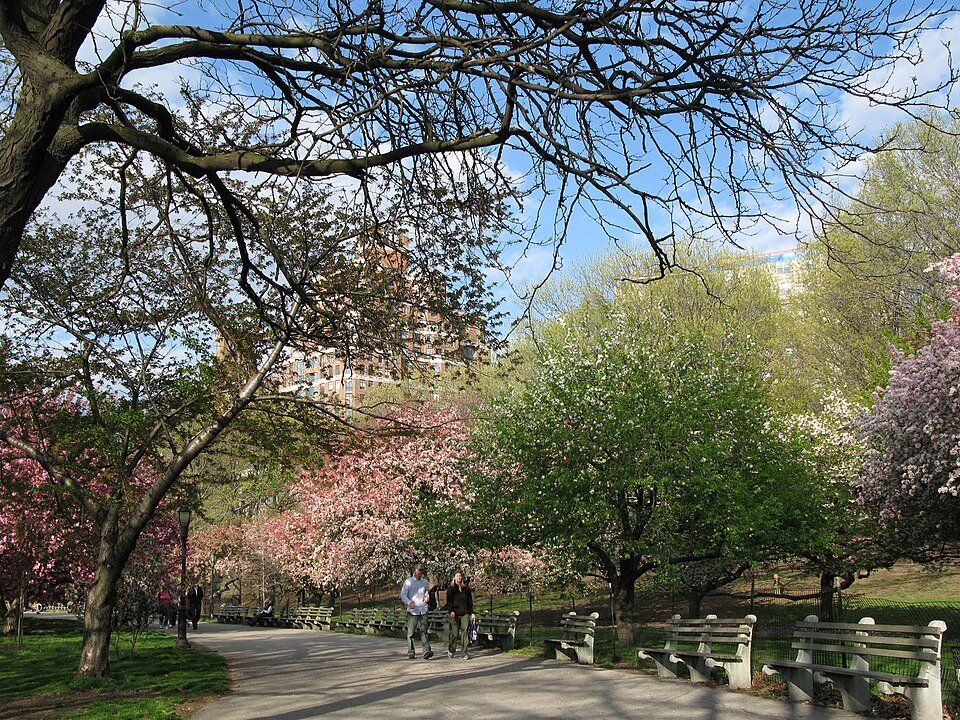 Riverside Park — view 1.