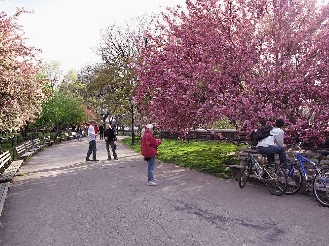 Riverside Park — view 3.