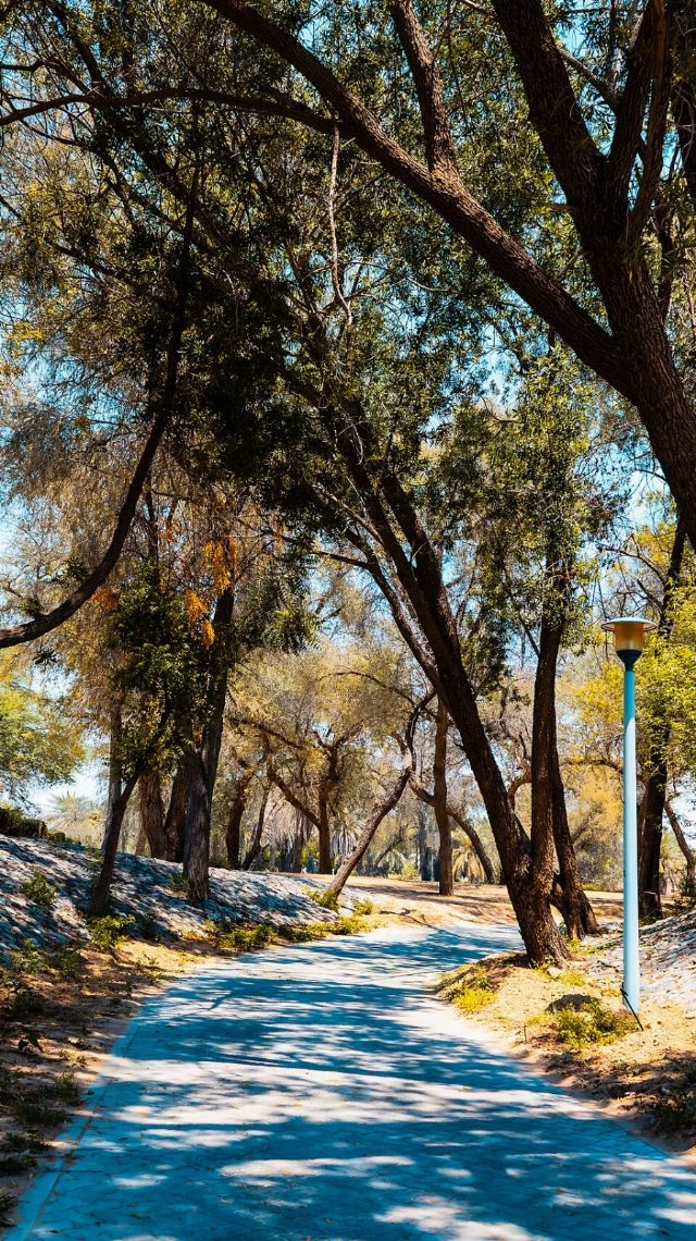 Mushrif Park — view 2.