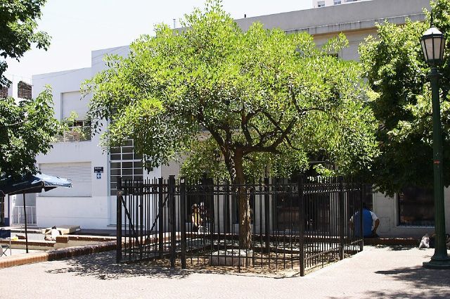 Plaza Dorrego — view 2.