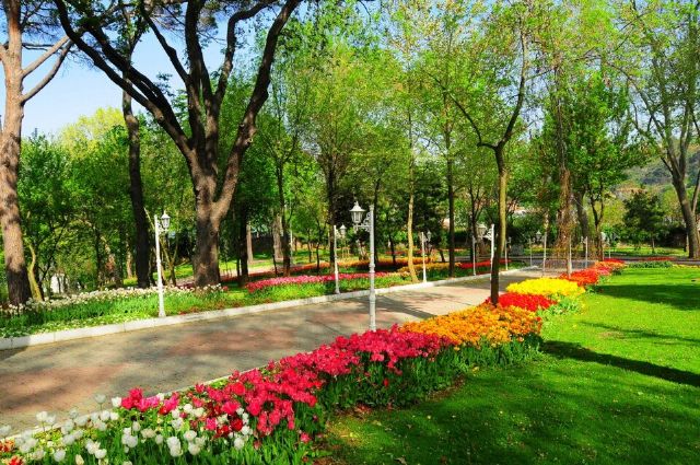 Beykoz Grove — view 2.