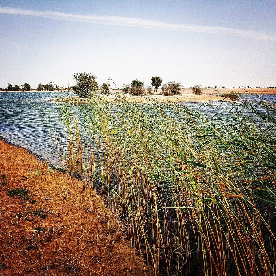 Al Qudra Lakes — view 1.