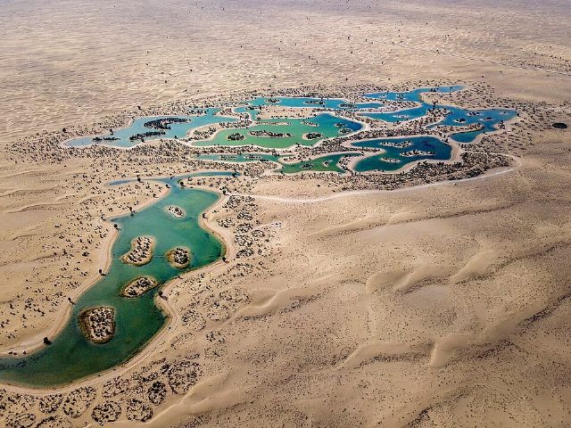 Al Qudra Lakes — view 2.