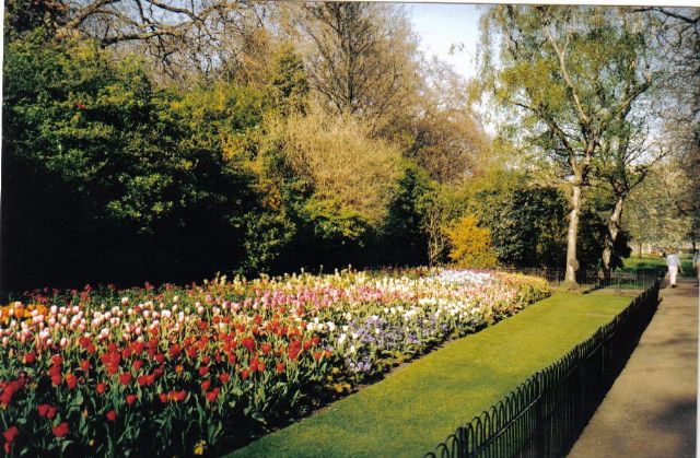 St James's Park — view 2.