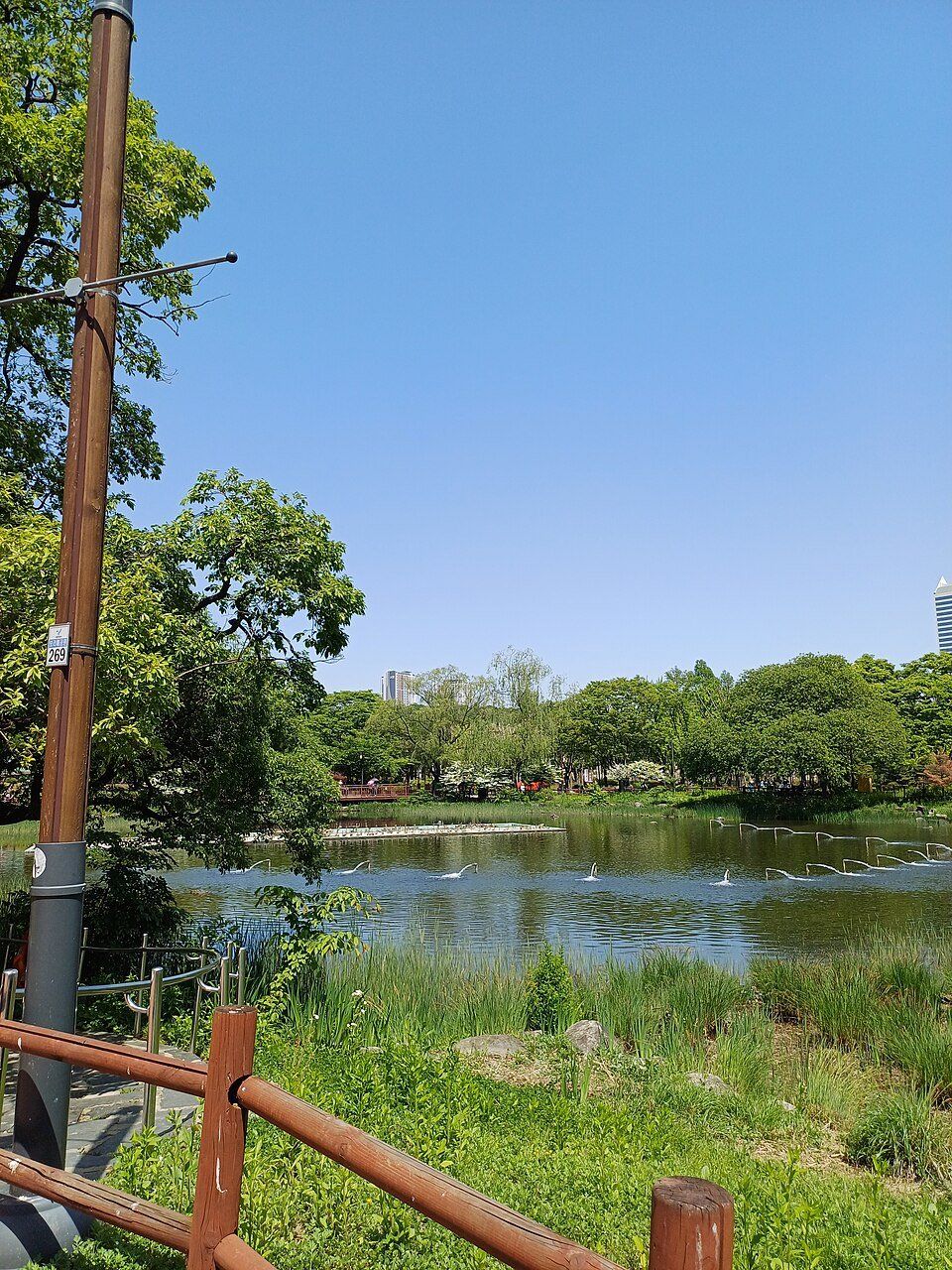Boramae Park — view 1.