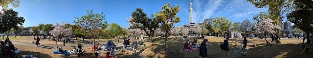 Sumida Park — view 2.