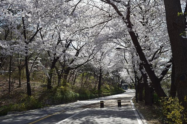 Namsan Park — view 2.