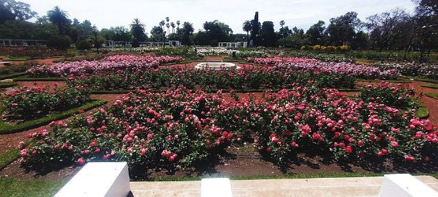 El Rosedal de Palermo — view 2.
