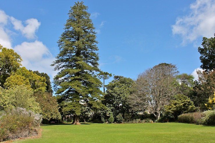 Arderne Gardens — view 1.