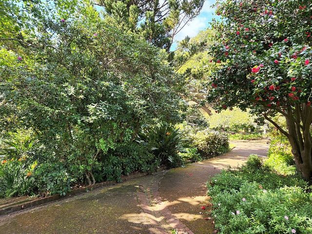 Arderne Gardens — view 3.