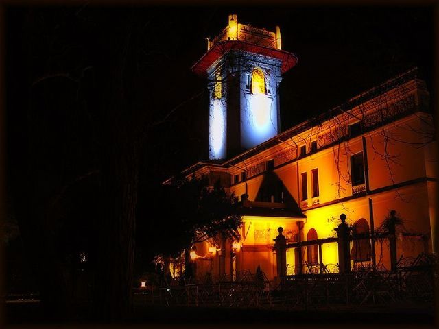 Hidiv Ismail Pasha Grove — view 2.