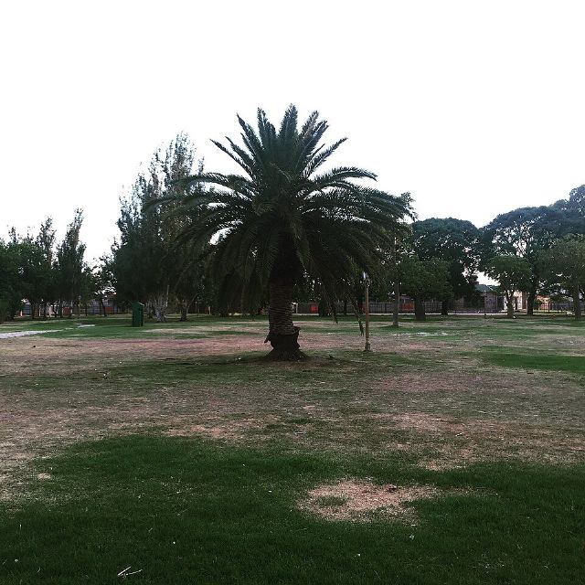 Parque Carlos Thays — view 3.