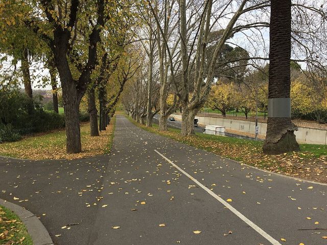 Alexandra Gardens — view 2.