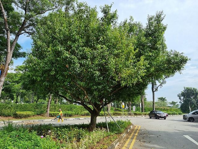 Sembawang Park — view 3.
