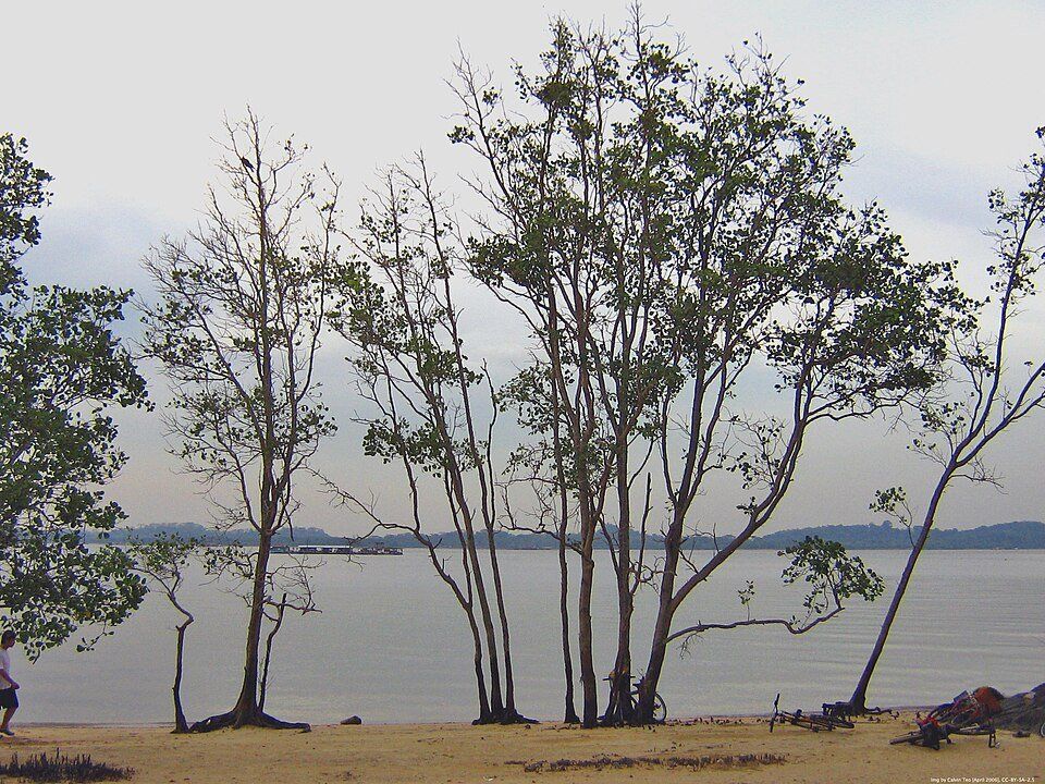 Pasir Ris Park — view 1.