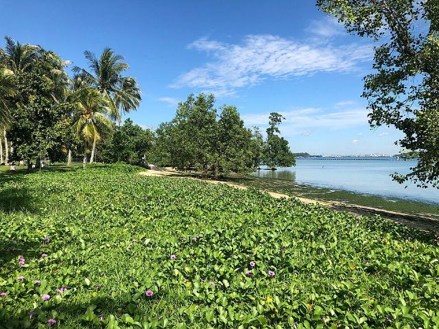 Pasir Ris Park — view 2.