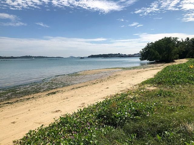 Pasir Ris Park — view 3.