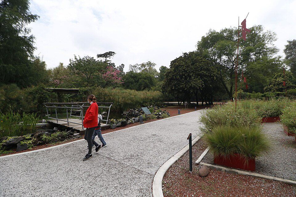Bosque de Chapultepec — view 1.