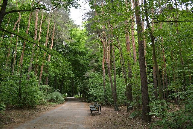 Volkspark Jungfernheide — view 2.