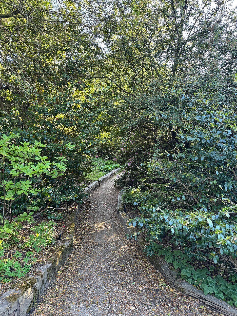 Nezahat Gökyiğit Botanical Garden — view 1.