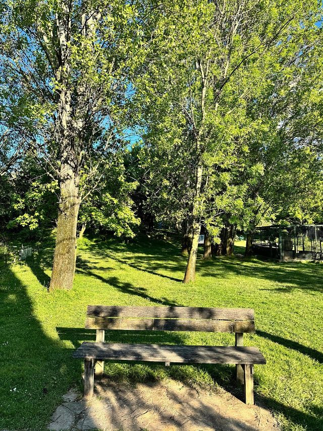 Nezahat Gökyiğit Botanical Garden — view 2.