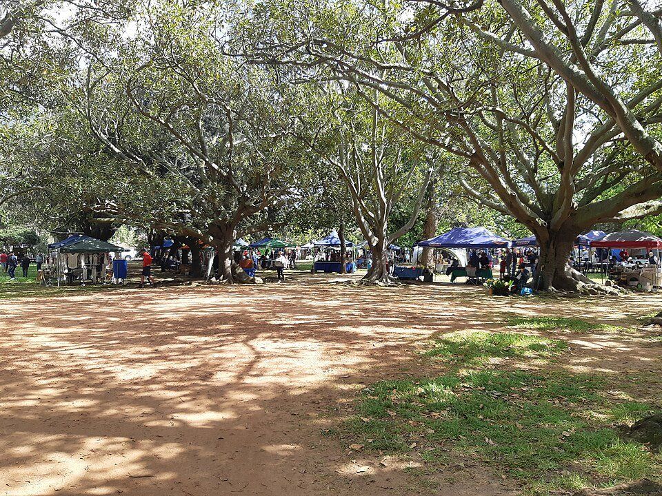 Rondebosch Park — view 1.