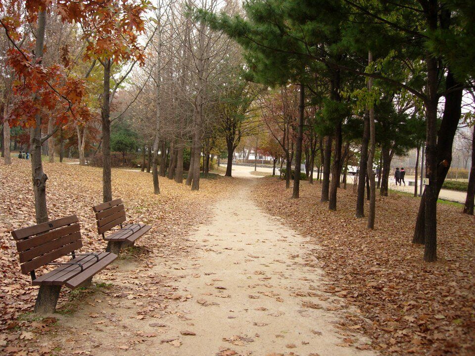 Seoul Forest — view 1.