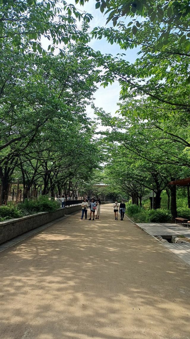 Seoul Forest — view 3.
