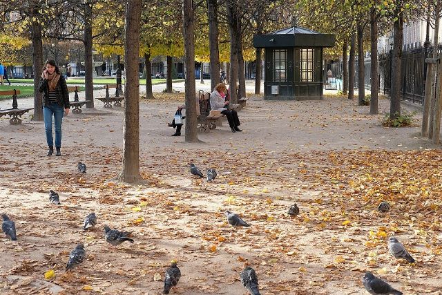 Place des Vosges — view 3.
