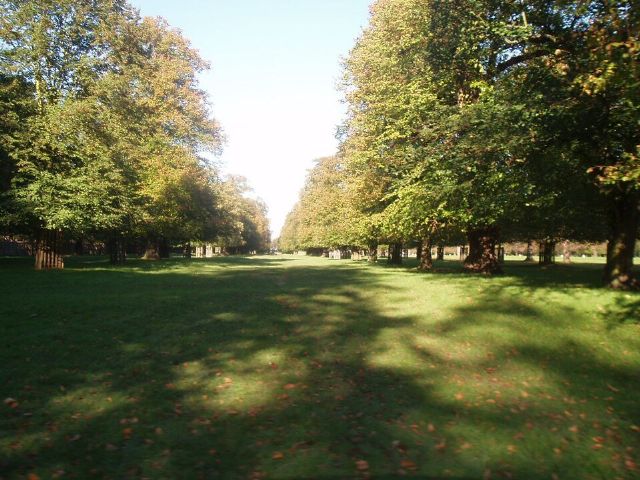 Bushy Park — view 2.