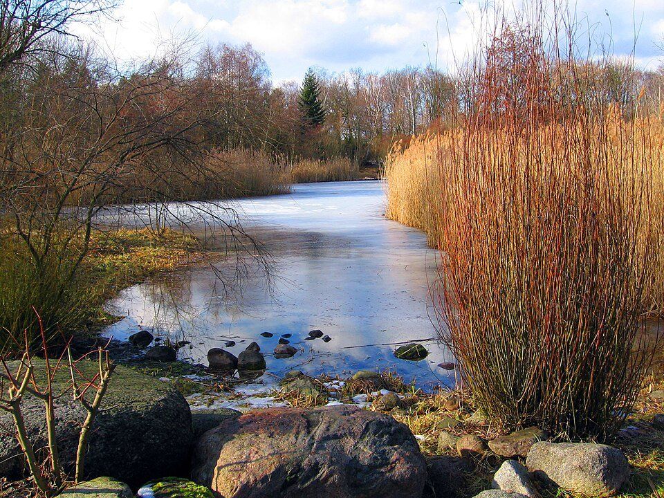 Volkspark Hasenheide — view 1.