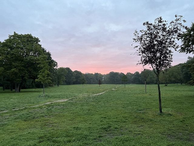Volkspark Hasenheide — view 2.
